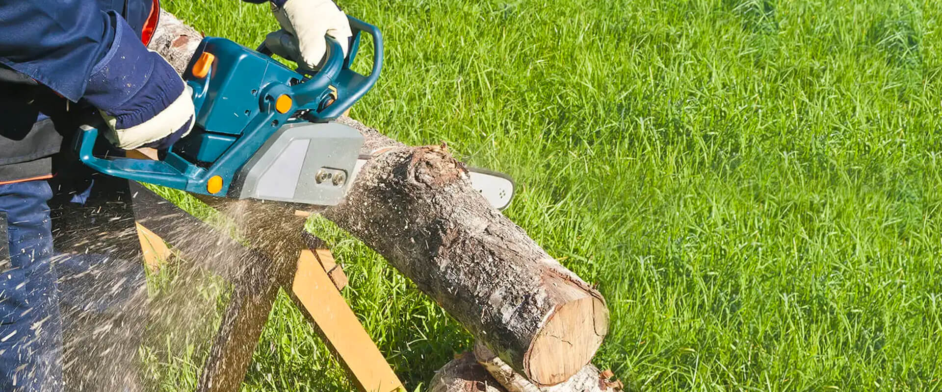 chainsaw for greenworks